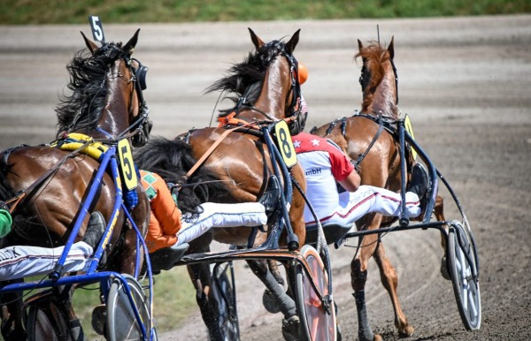 Bezoek Drafbaan, Wolvega